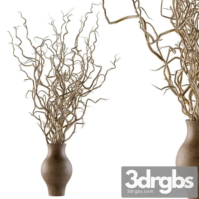 Bouquet set 19 – dried twisted branches