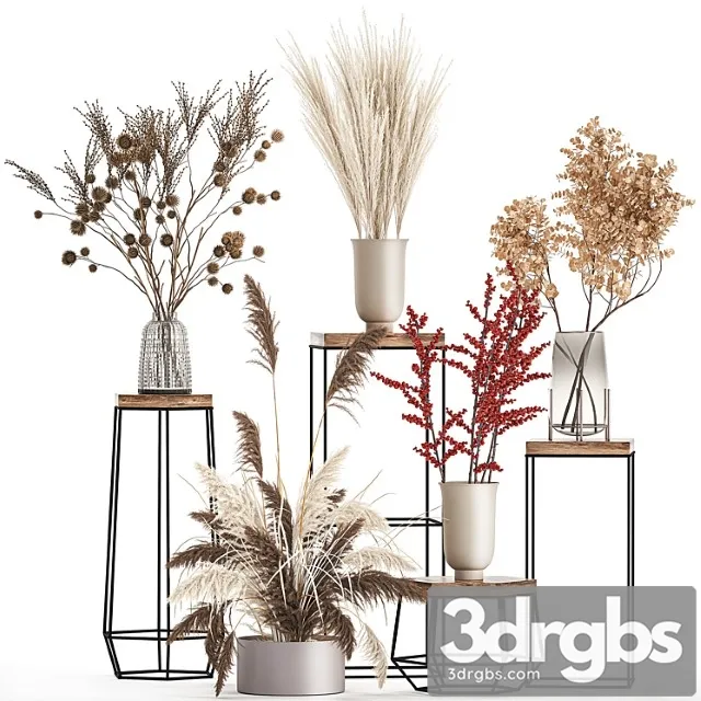 Bouquet set 212. dried flower, vase, decor, shelf, branches, thorns, pampas grass