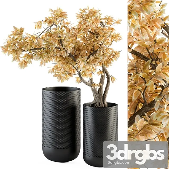 Bouquet set – autumn branch in black vase 78