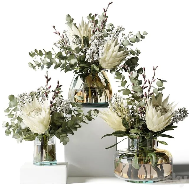 Bouquet with proteas and eucalyptus 3dsMax Model