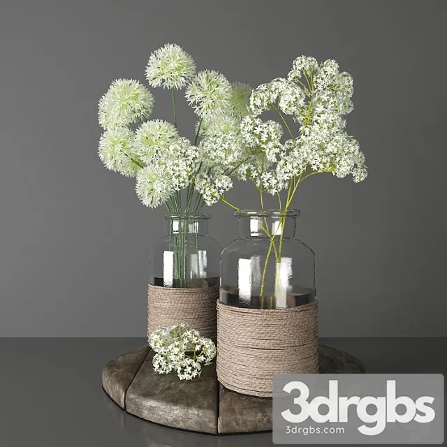 Bouquets 2 – decorative onions and gypsophila