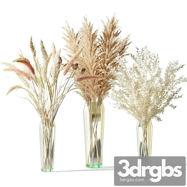 Bouquets of dried flowers in glass vases – set 1