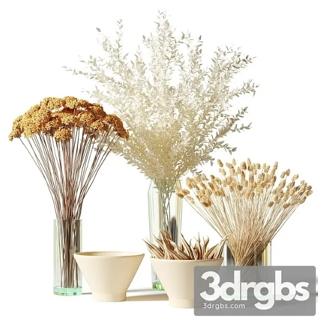 Bouquets of dried flowers in glass vases – set 2