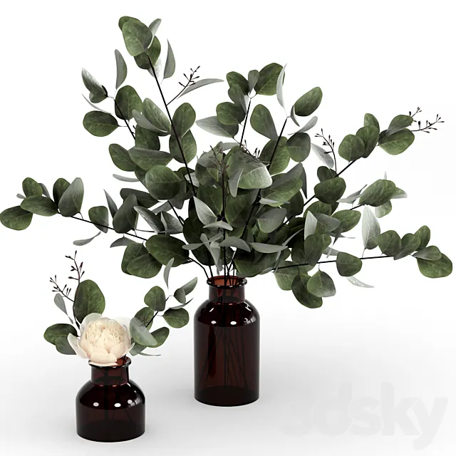 Bouquets of eucalyptus. 3DS Max Model