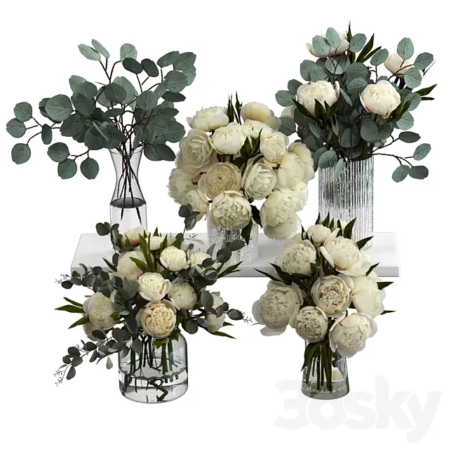 Bouquets of eucalyptus and peonies 3ds Max