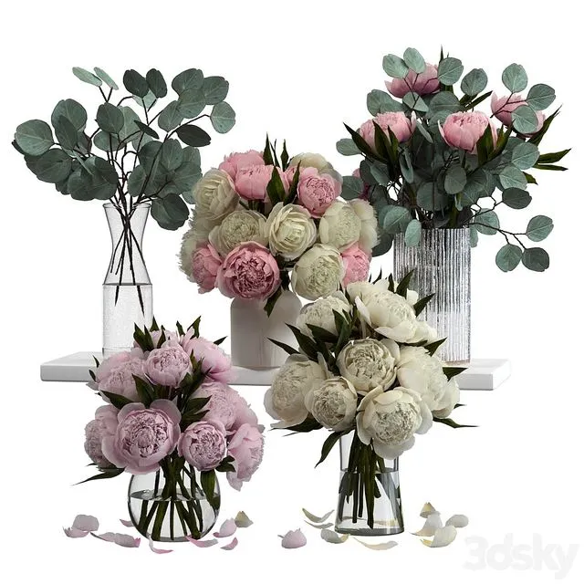 Bouquets of eucalyptus and peonies 3dsMax Model