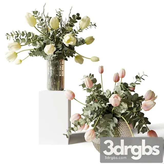 Bouquets of eucalyptus and tulips in glass vases