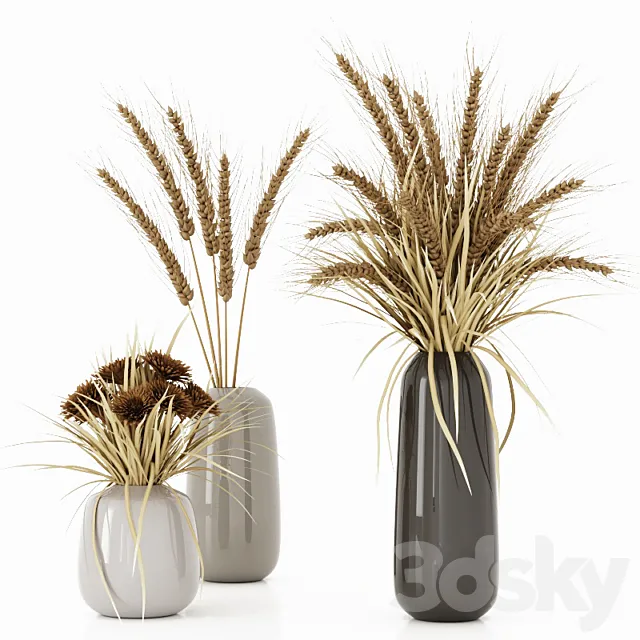 Bouquets with dry plants. spikelets. grass and chrysanthemums 3DSMax File