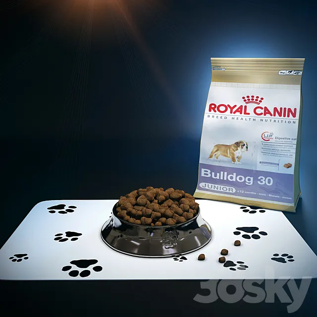 Bowl for the dog and cat food 3ds Max