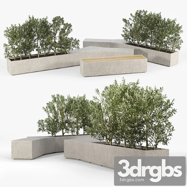 Box planter olea europaea 01