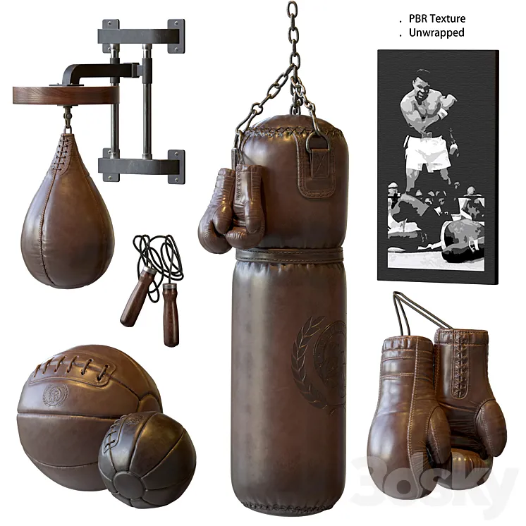 Boxing Equipment 3DS Max