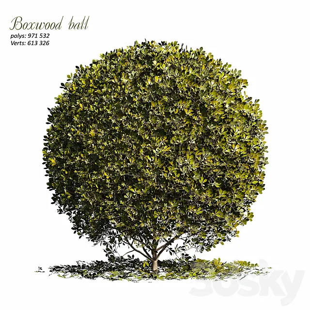 Boxwood ball 3ds Max