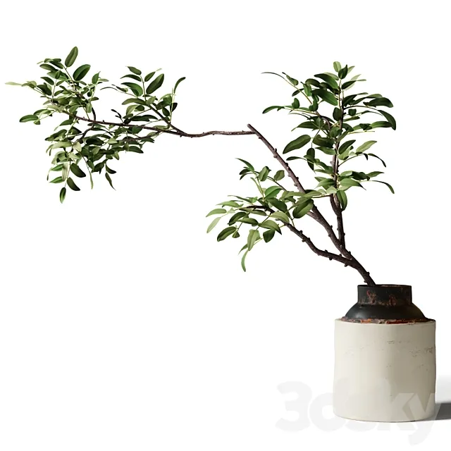 Branch with green leaves in an old metal vase 3ds Max