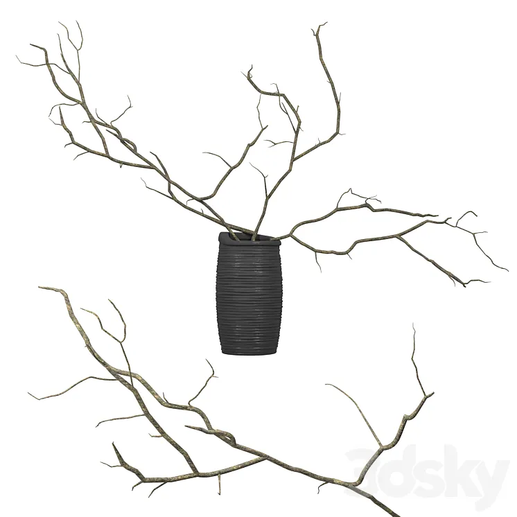 Branches in a vase 3DS Max Model