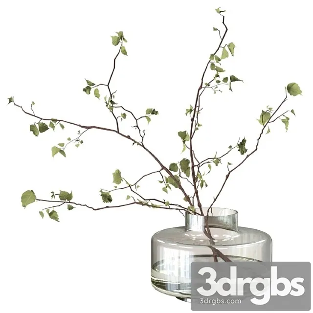 Branches in a vase