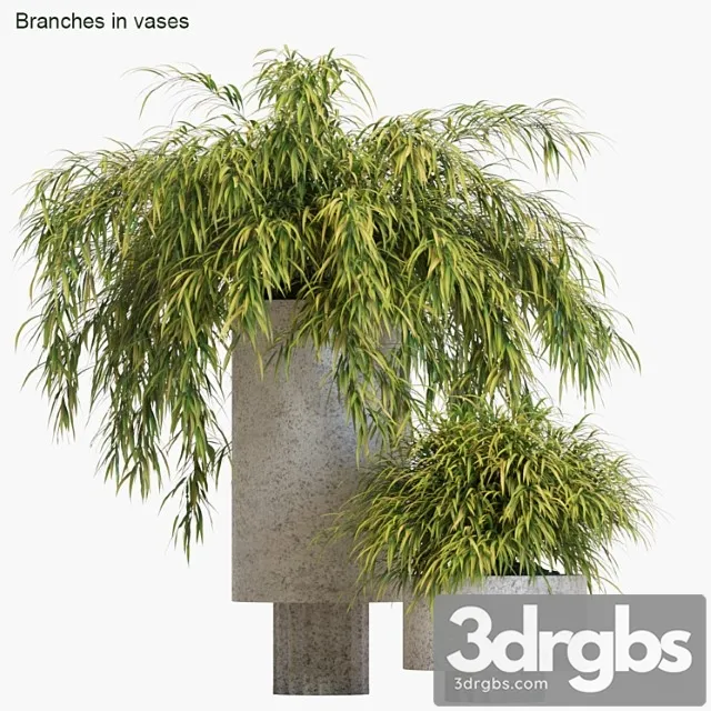 Branches in vases