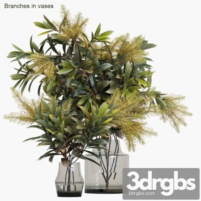 Branches in Vases 10 3dsmax Download
