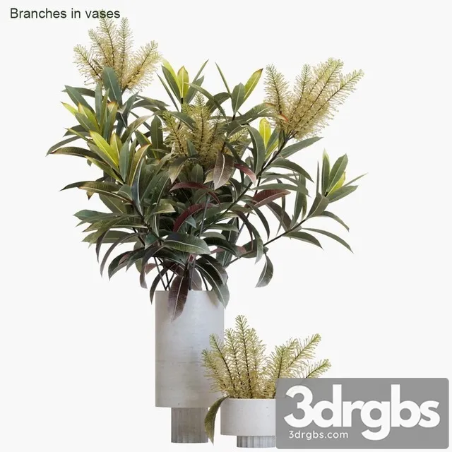 Branches in Vases 12 3dsmax Download