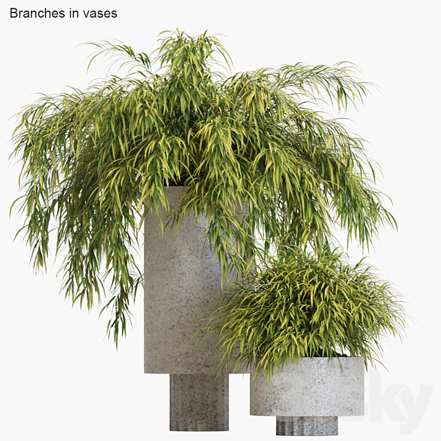 Branches in vases # 14: Hakonechloa 3DS Max Model