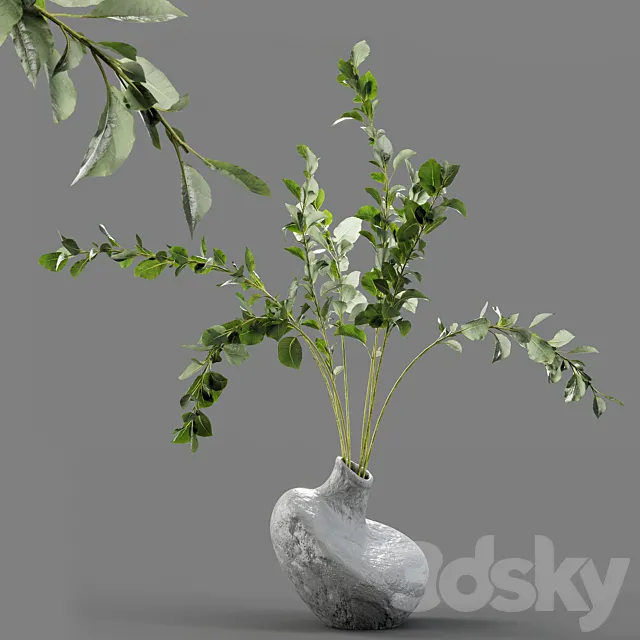 Branches in vases 20 3dsMax Model