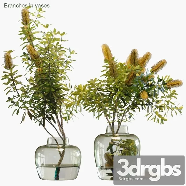 Branches in Vases 28 Banksia 3dsmax Download