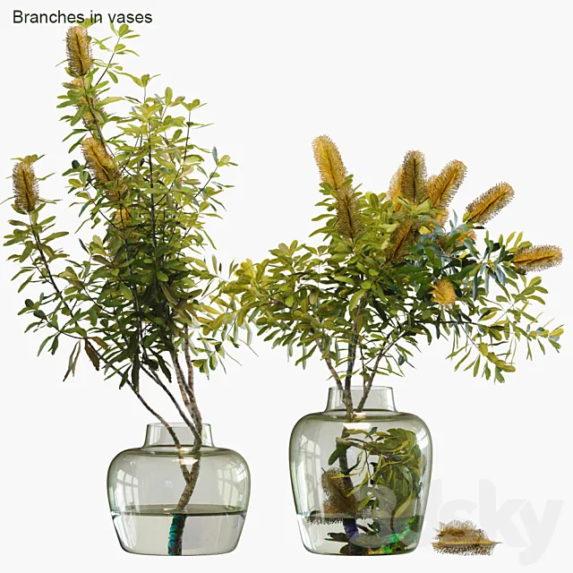 Branches in vases # 28: Banksia 3DSMax File
