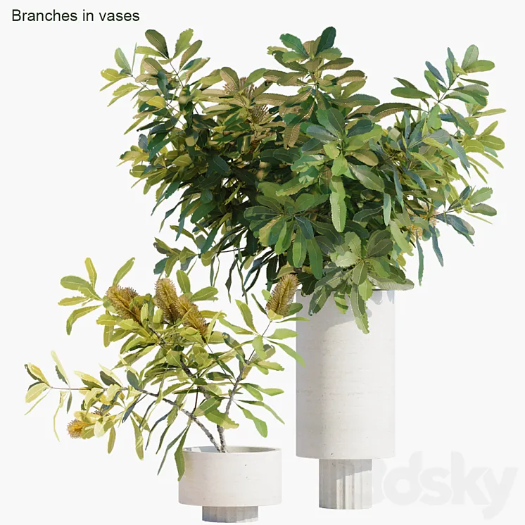 Branches in vases 29 3DS Max