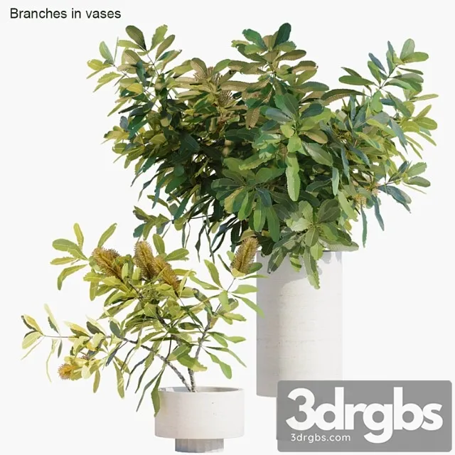 Branches in vases 29