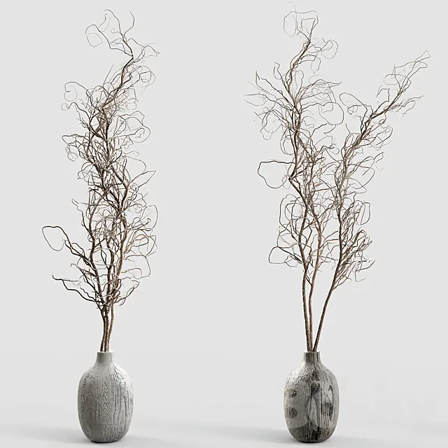 Branches in vases 30 3ds Max