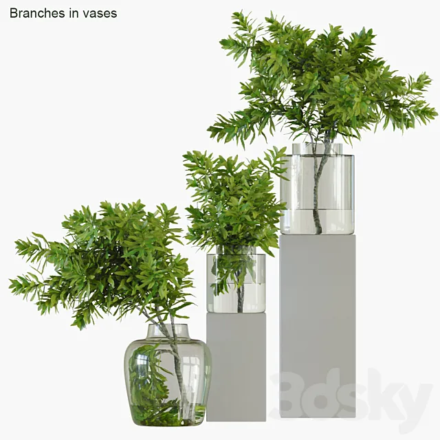 Branches in vases 32: Banksia plagiocarpa 3DSMax File