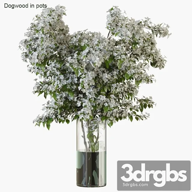 Branches In Vases 34 1 3dsmax Download