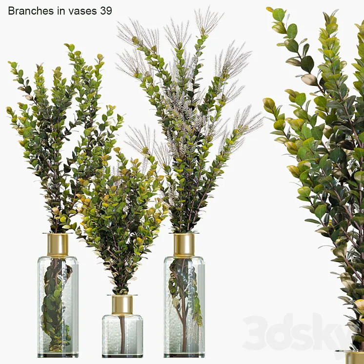 Branches in vases 39 3DS Max