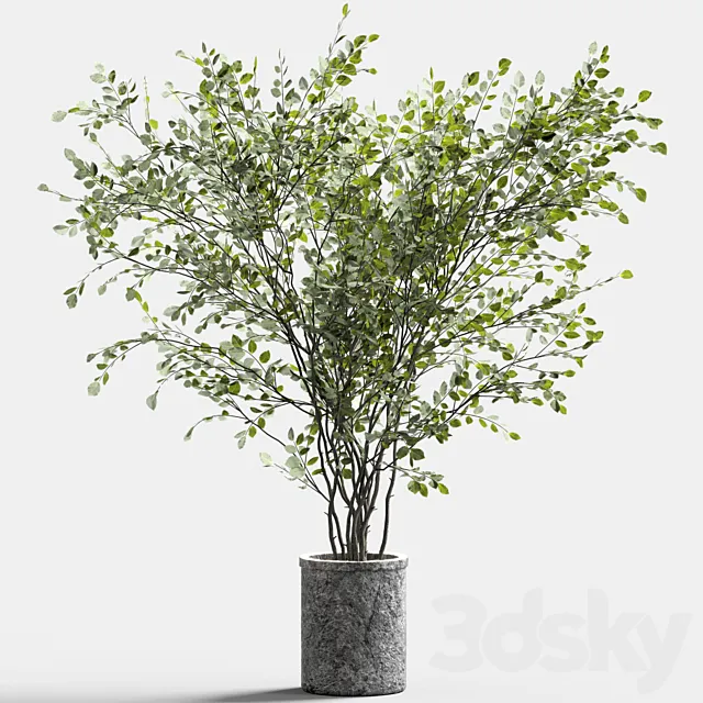 Branches in vases 39 3dsMax Model