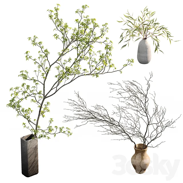 Branches in vases 3ds Max