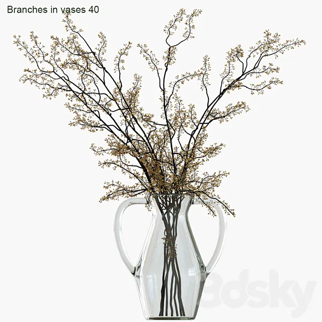 Branches in vases 40 3DS Max Model