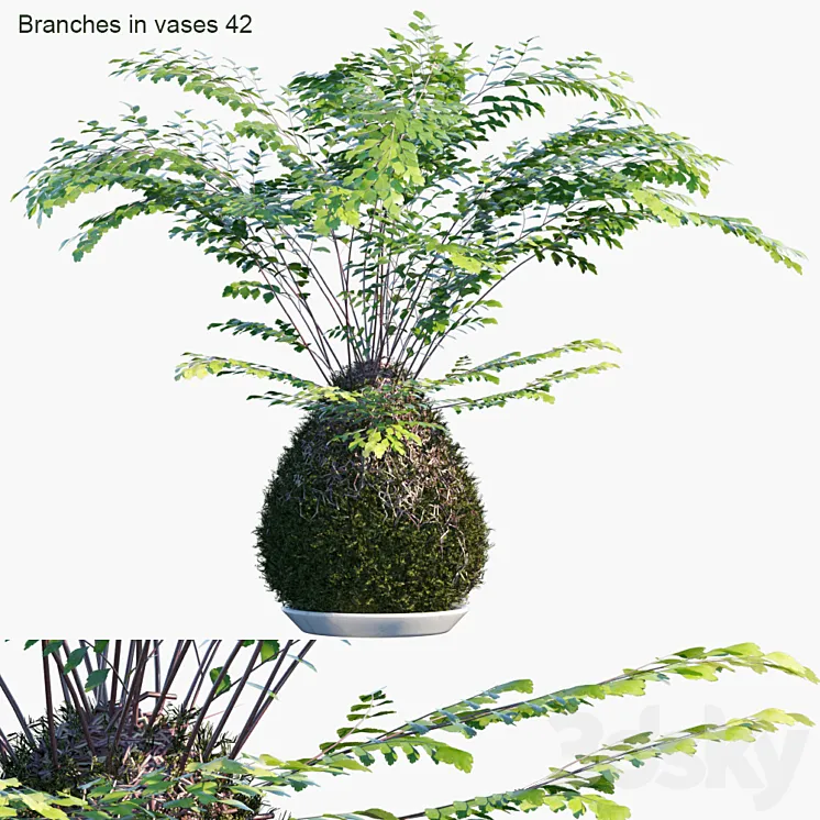 Branches in vases 42: Kokedama 3DS Max Model
