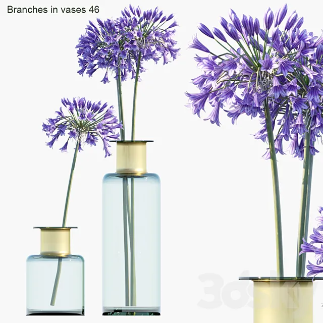 Branches in vases 46: Agapanthus 3ds Max