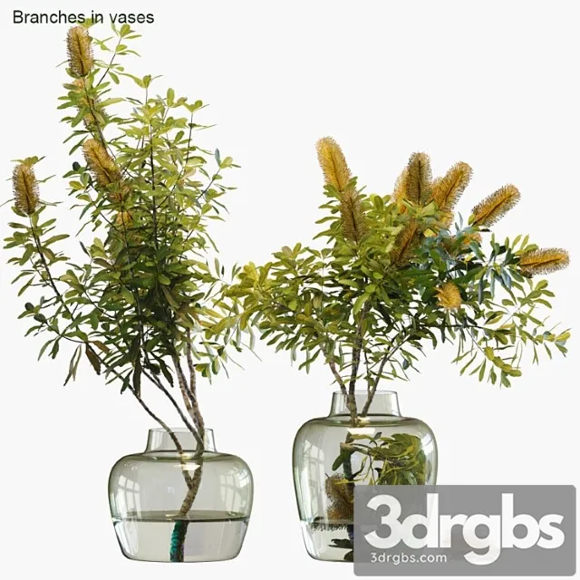 Branches in vases _123