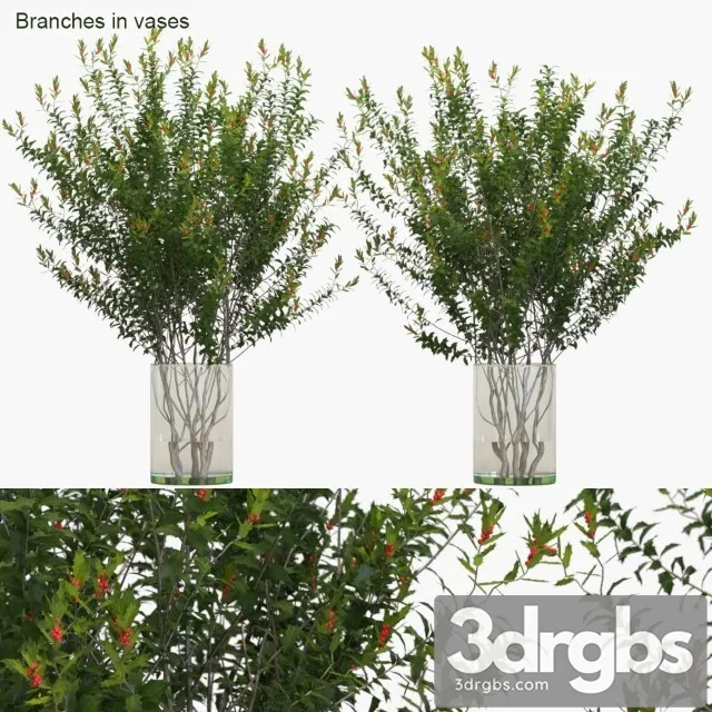 Branches in Vases Dragon Lady 3dsmax Download