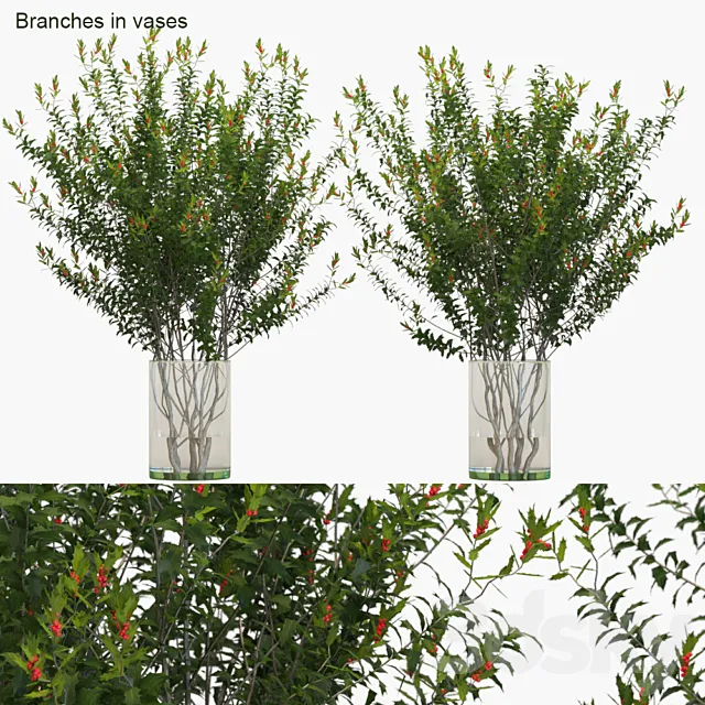 Branches in vases: Dragon Lady 3DSMax File