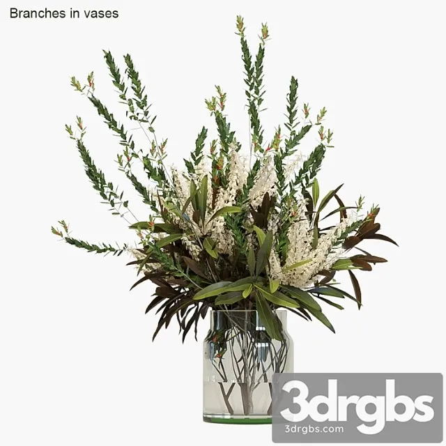 Branches in vases