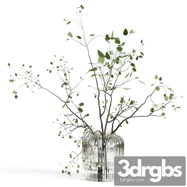 Branches Plant With Galss Vase White Bouquet 22 3dsmax Download