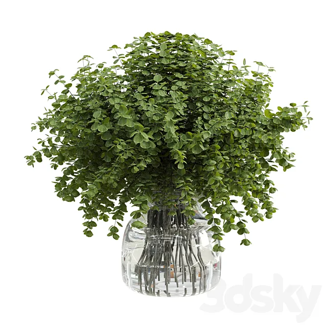 Branches plant with galss vase white – bouquet 36 3DS Max Model