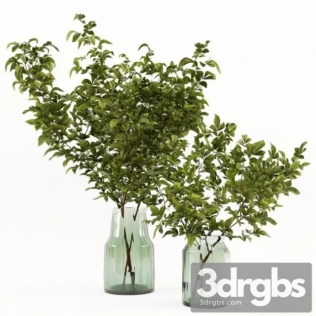 Branches Vase 2 3dsmax Download