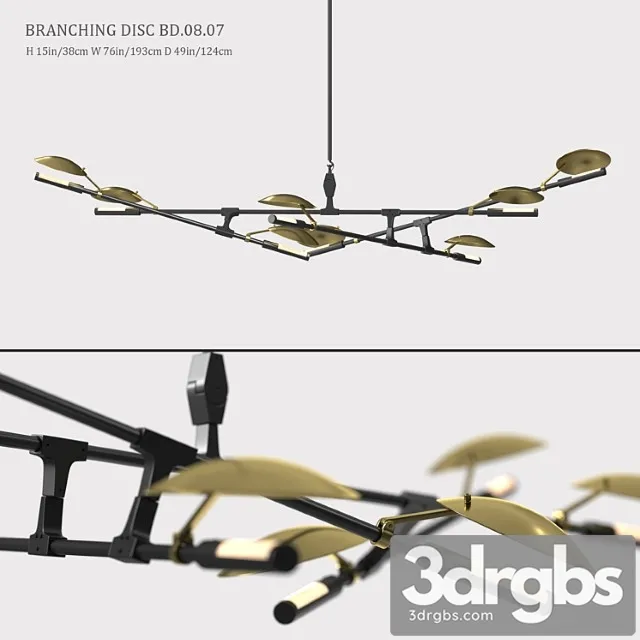 Branching Disc Bd 08 07 3dsmax Download