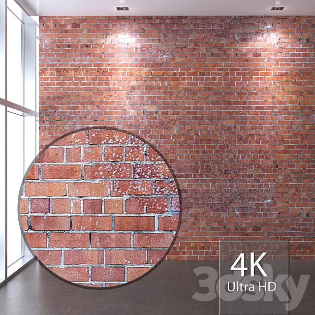 Brickwork 302 3ds Max