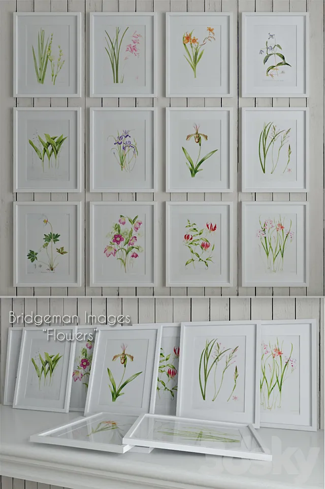 Bridgeman Images “Flowers” 3DSMax File