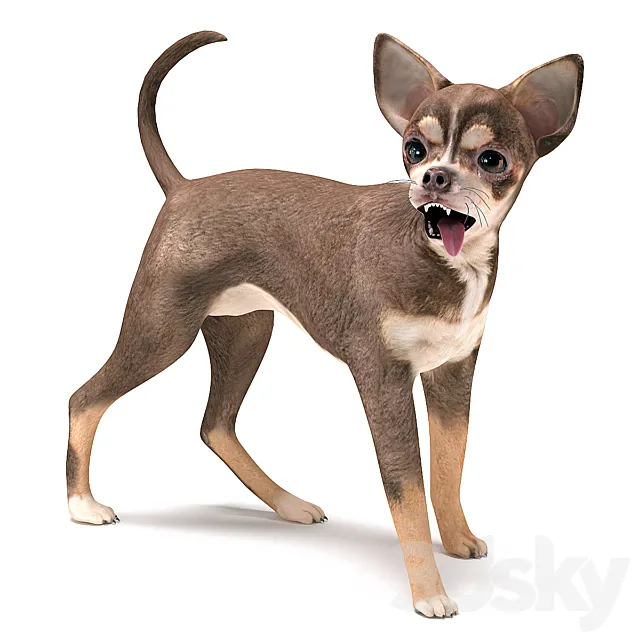 Brown Chihuahua 3ds Max