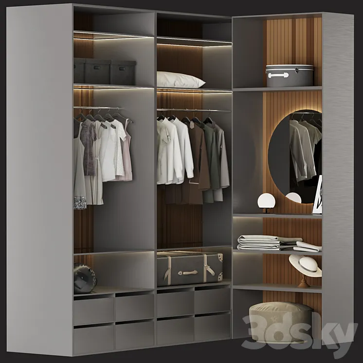 Brown Wardrobe Walk-in Closet Black Glass Door Simple and Luxury 3DS Max