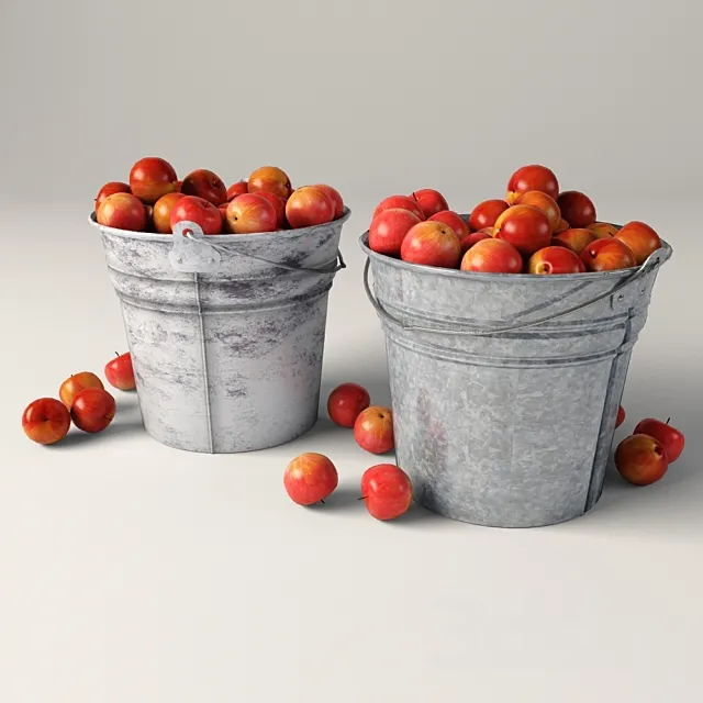 Bucket of Apples 3DS Max Model